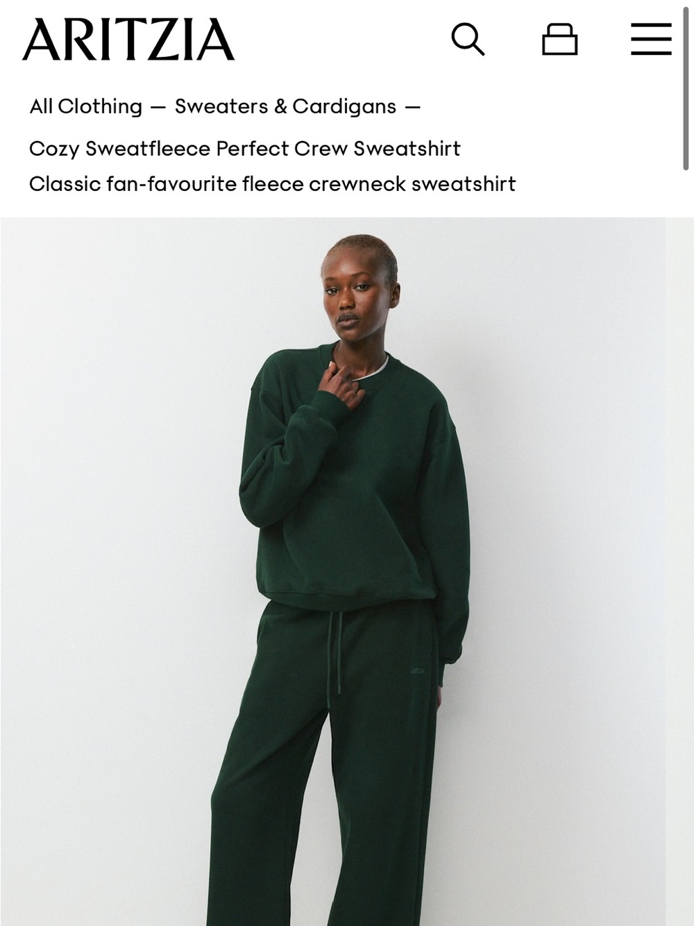 Aritzia sweatshirt